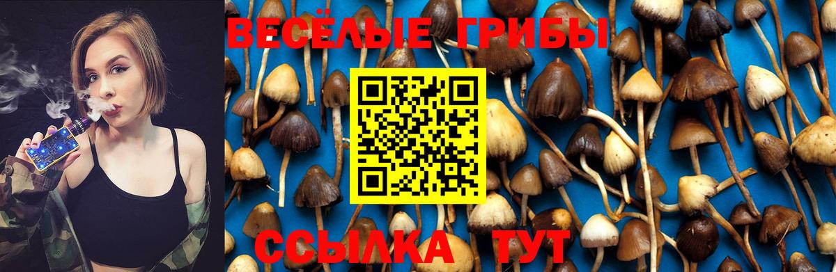 Галлюциногенные грибы Psilocybine cubensis  Галлюциногенные грибы Cubensis  Вход с VPN  Сертолово 